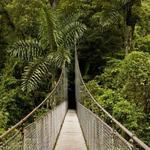 Lekki Conservation Centre