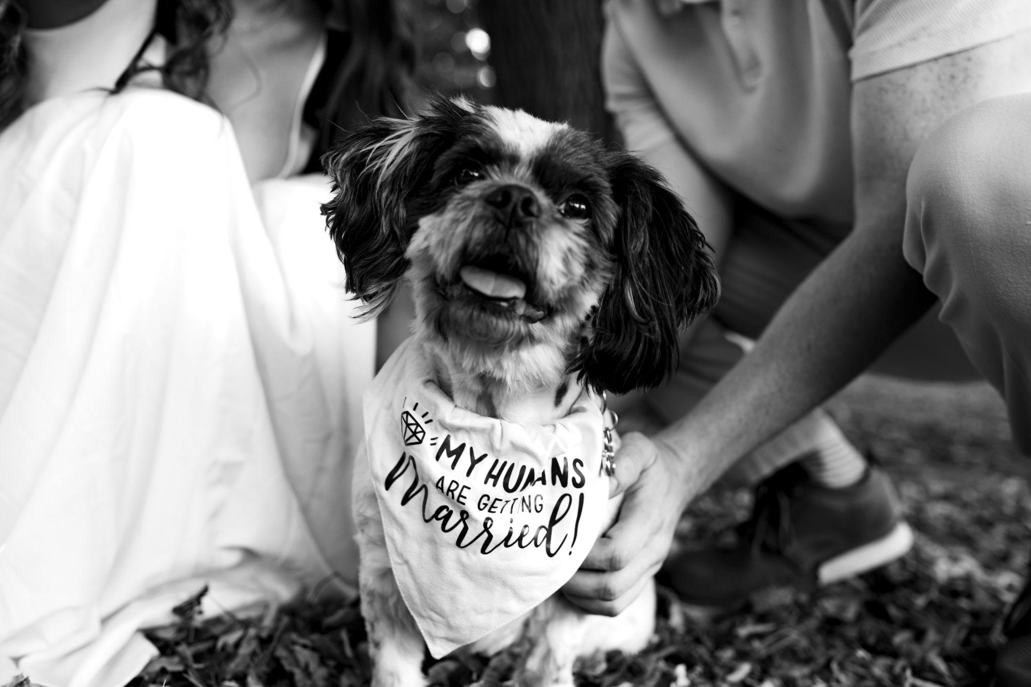 The Wedding Website of Sammy Blenden and Kaden Henley