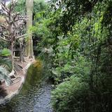 Omaha's Henry Doorly Zoo and Aquarium