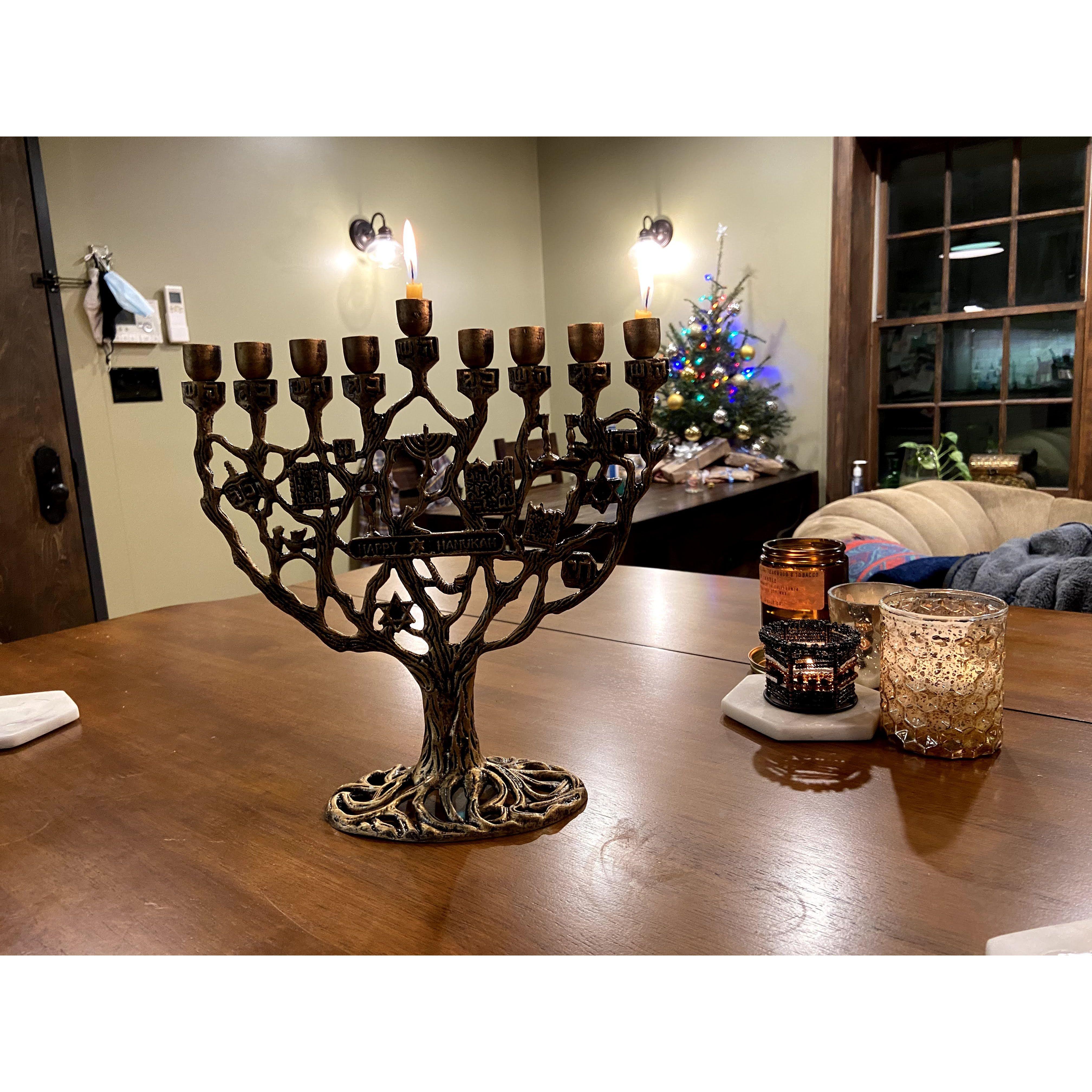 Our first menorah AND first christmas tree together