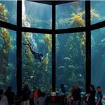 Monterey Bay Aquarium