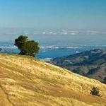 Mount Tamalpais