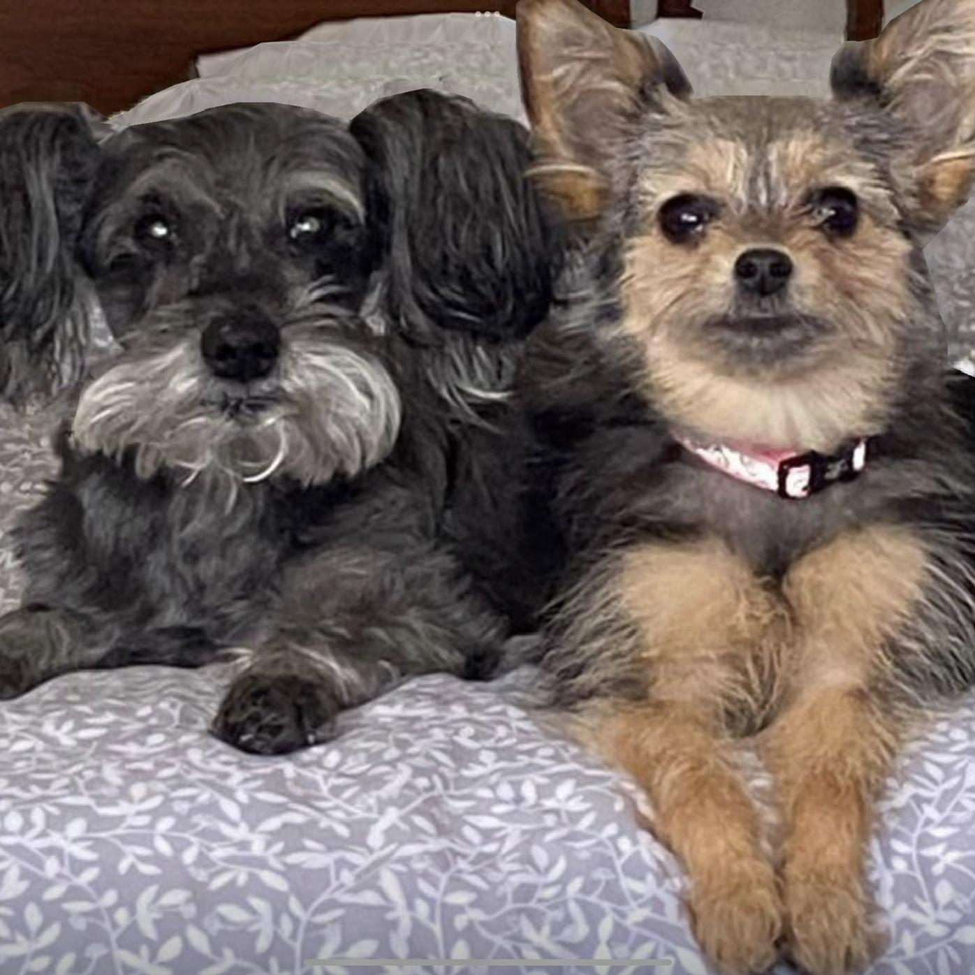 Roxie and Winnie