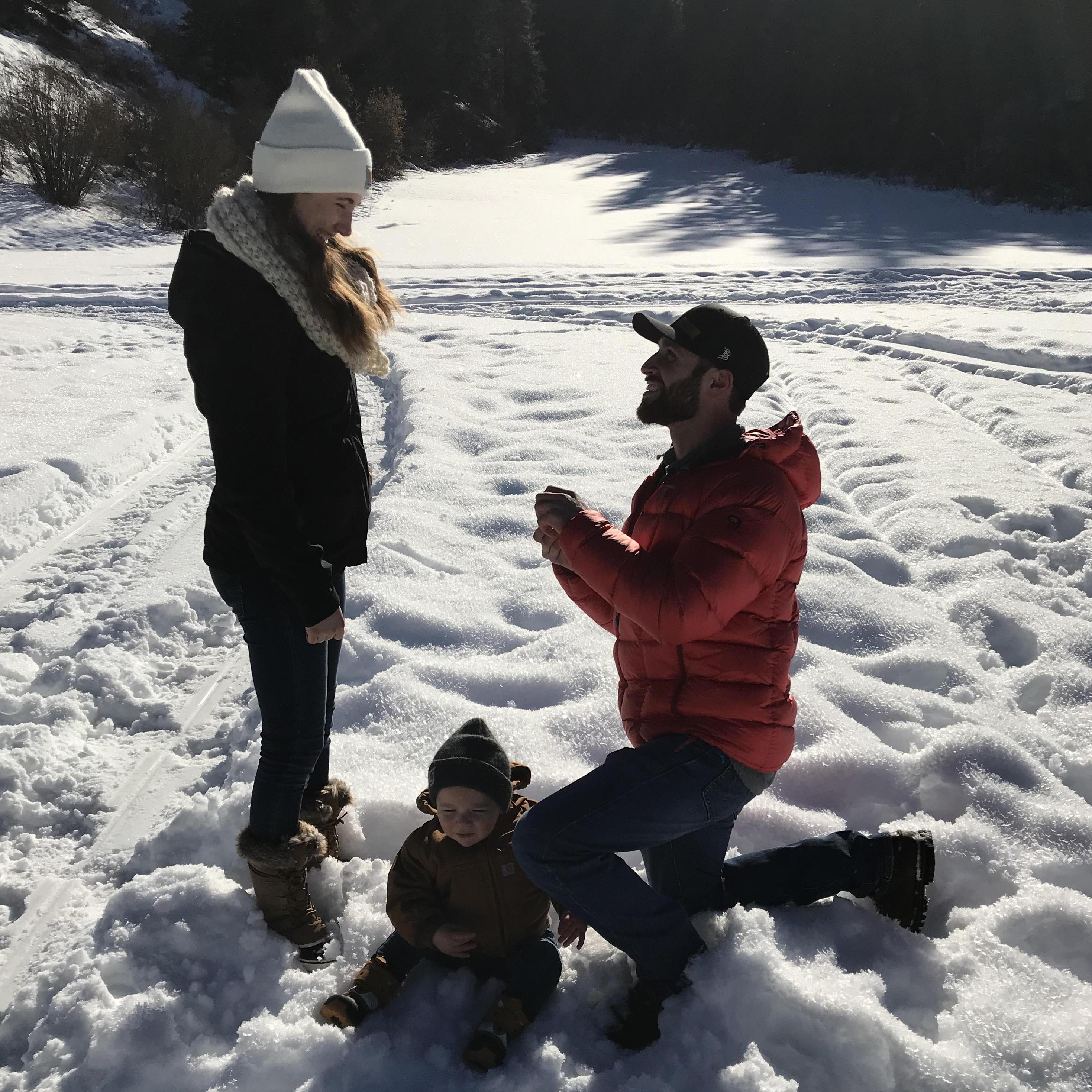 The proposal
