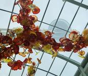 Chihuly Garden and Glass