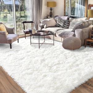 Living Room Floor Rug