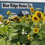 Blue Ridge Honey Company