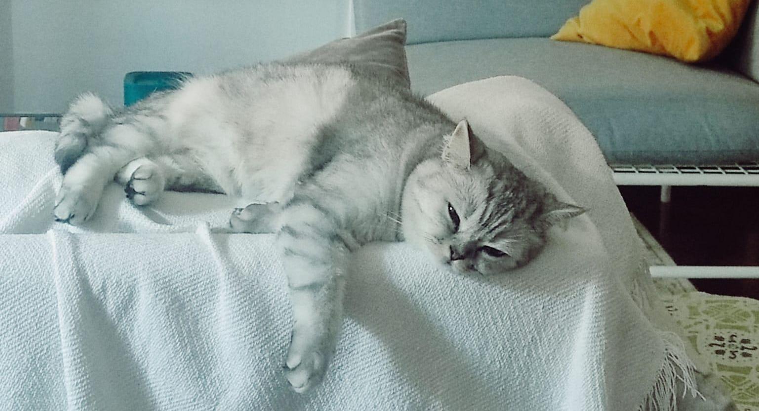 The Wedding Website of Kate Albers and Giacomo Bandini