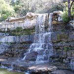 Zilker Botanical Garden