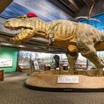 Museum of Science