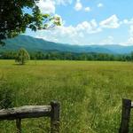 Cades Cove Scenic Loop