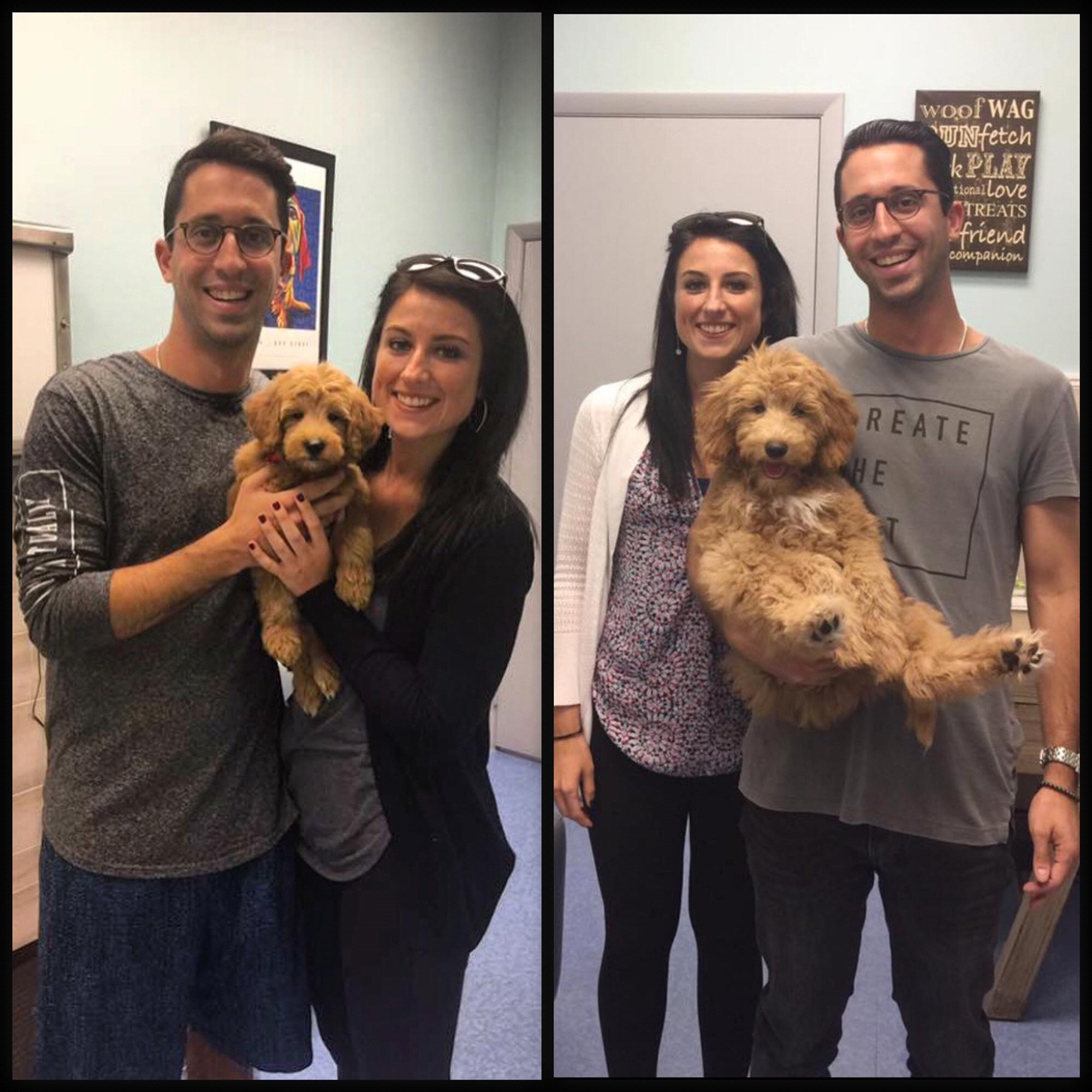 LOLA
8 weeks VS 6 months