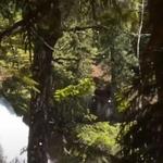 Blue River & Waterfalls Hike