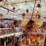 Anaheim Packing District