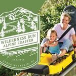 Wilderness Run Alpine Coaster