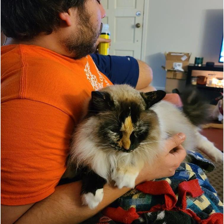 They love to snuggle together (when they think no one is watching).