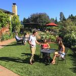 Dutton Estate Winery