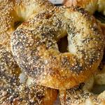The Best Bagels: Scratch Baking Co