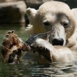 San Diego Zoo