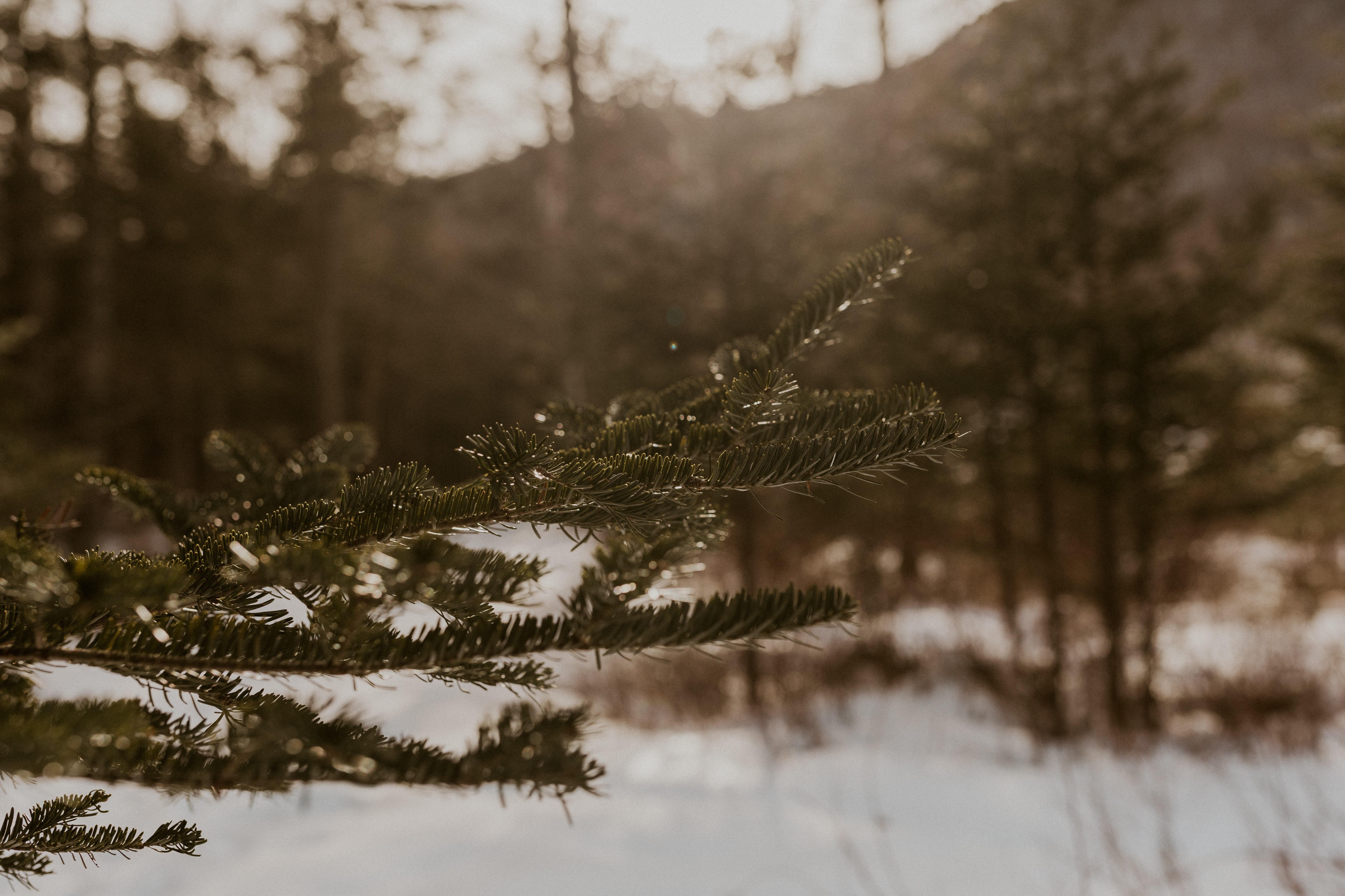 The Wedding Website of Krista Palmer and Colin Robb