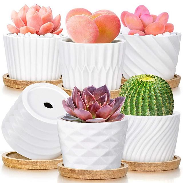 Succulent Pots, White Ceramic Pots for Plants Set of 6 Succulent Planters with Drainage Tray Bamboo Small Plant Pots 3 Inch Planter Pots Cactus Mini Flowers Pots with Saucer Garden Pots (White)