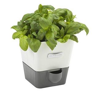 Self-Watering Indoor Herb Garden Planter - Pot