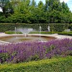 The Arboretum