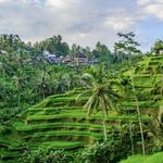 Ubud