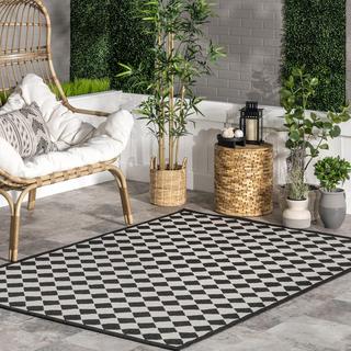 Myka Checkered Indoor/Outdoor Area Rug