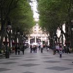 Passeig del Born