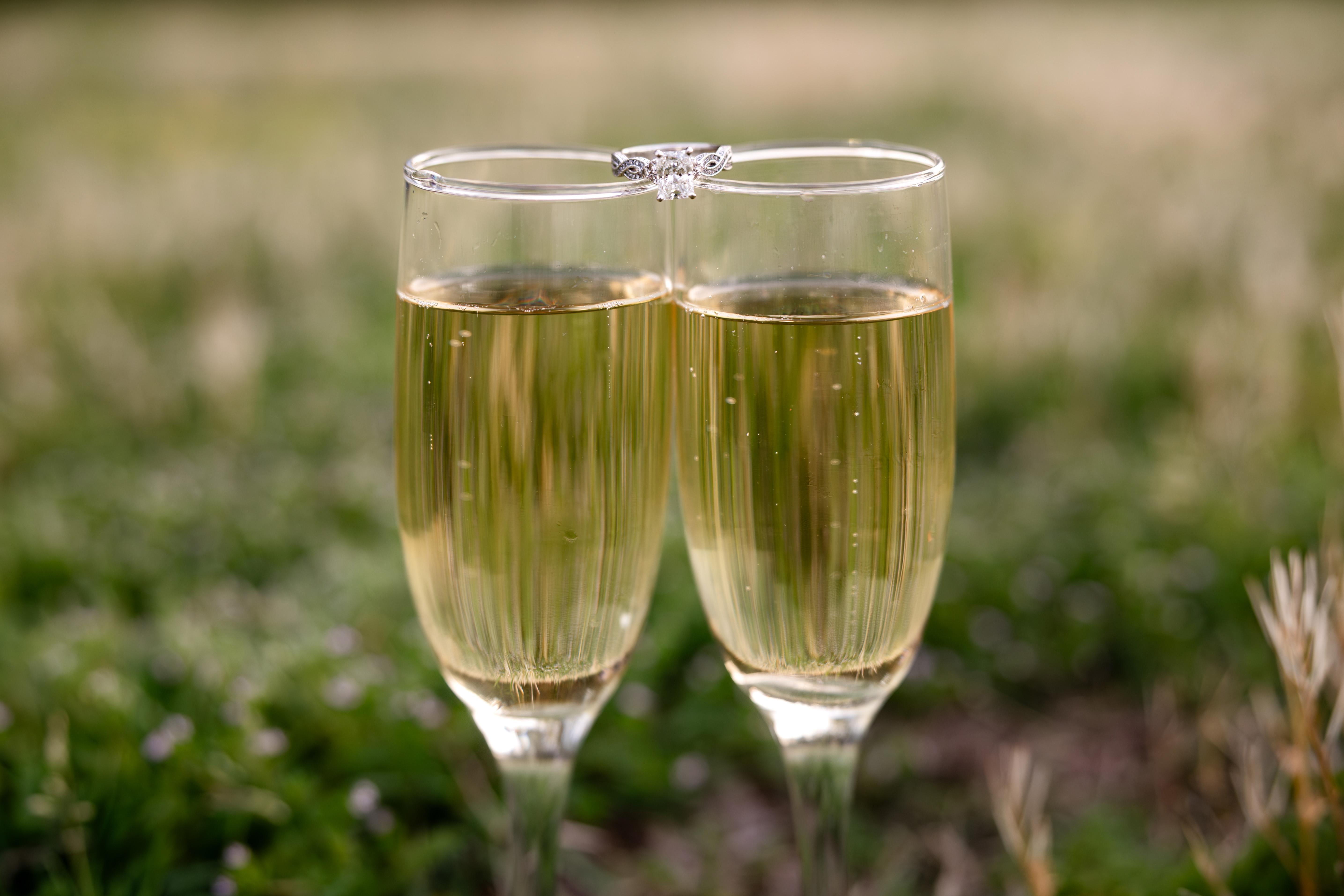 The Wedding Website of Haley Welch and Robby Schwartz