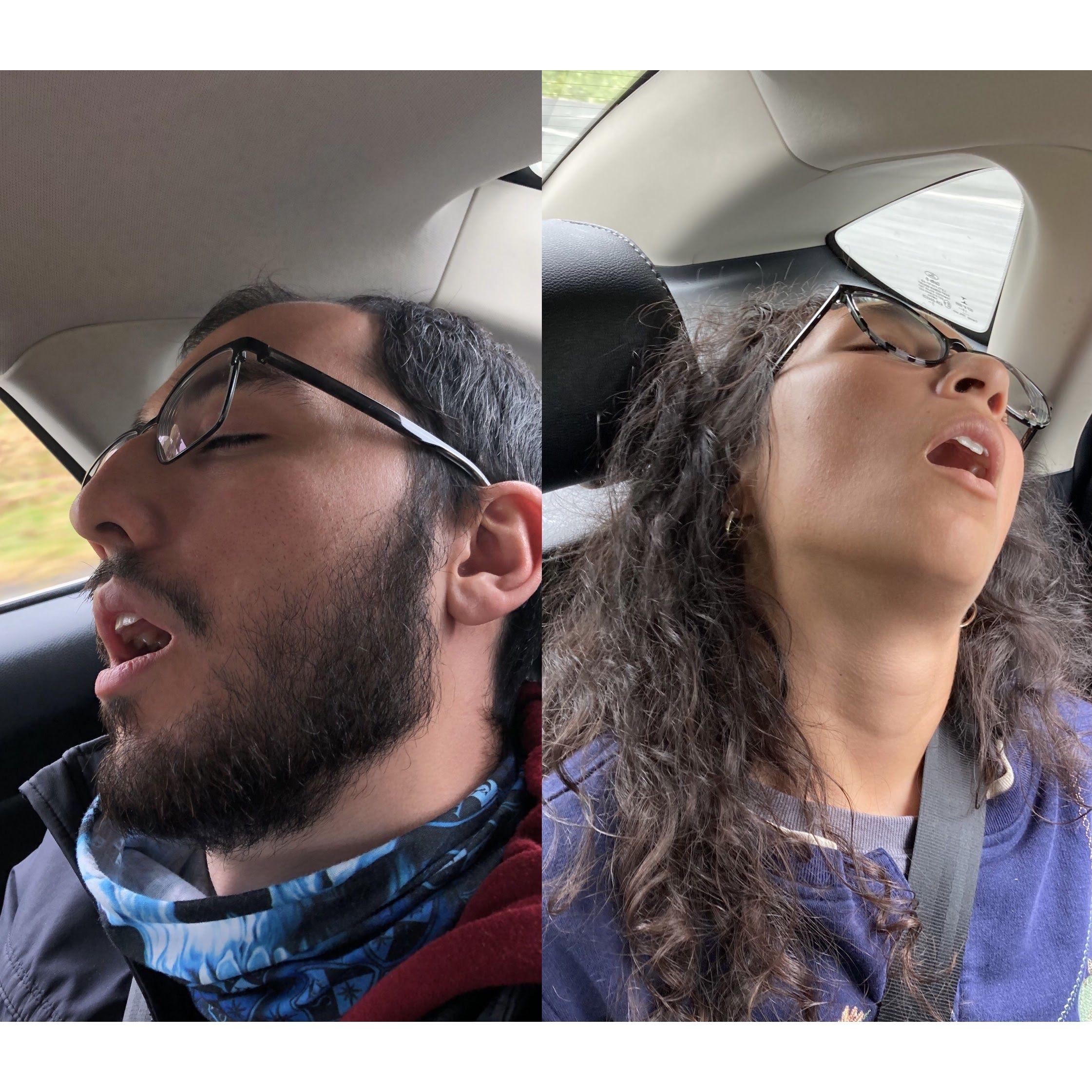 Alaskan snooze