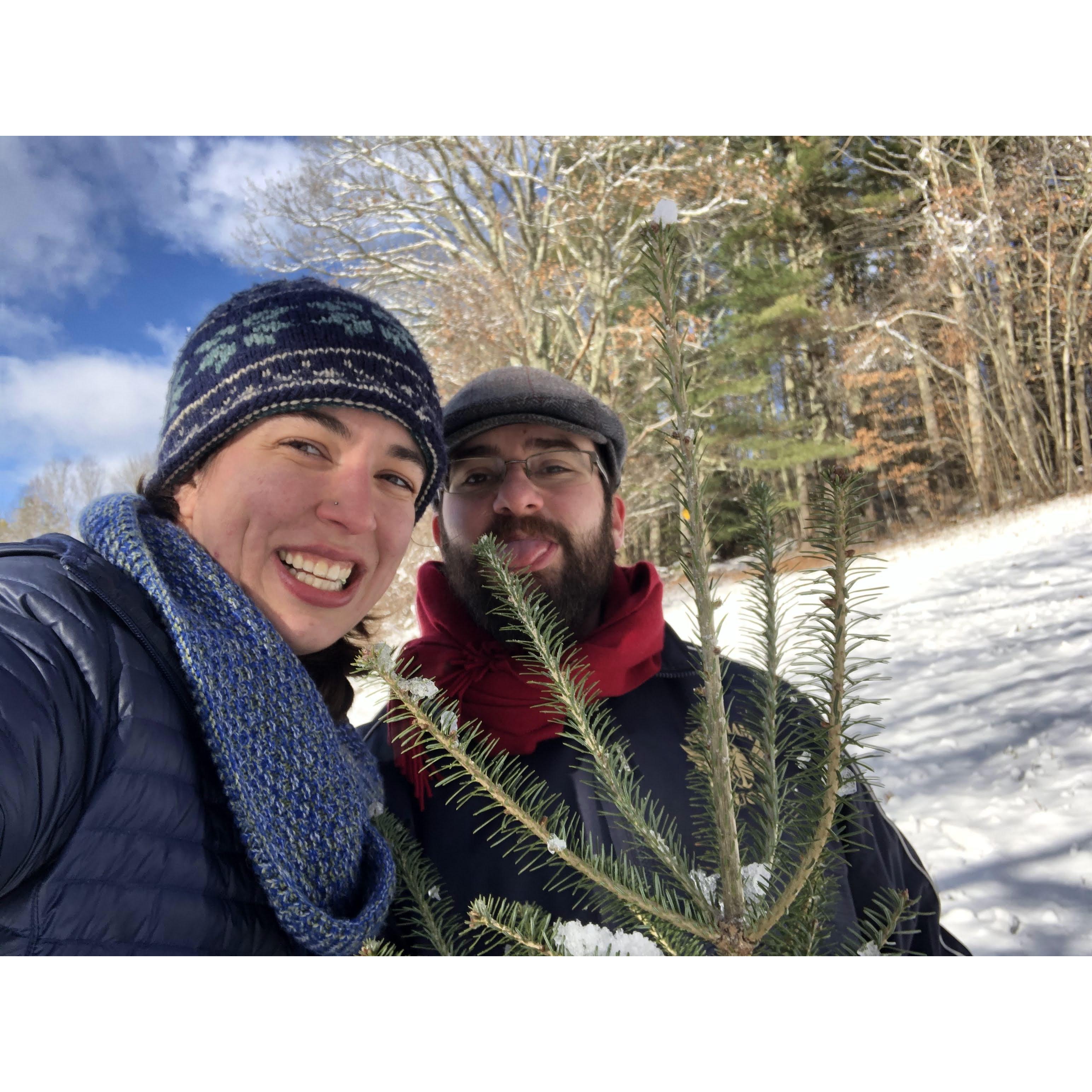 Getting our Christmas tree at Molly's family tree farm