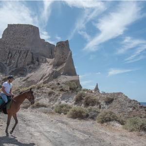 Horseback Riding on the Beach (Venmo)