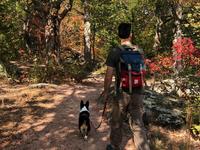 Castlewood State Park