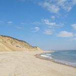 Wellfleet