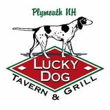 Lucky Dog Tavern & Grill