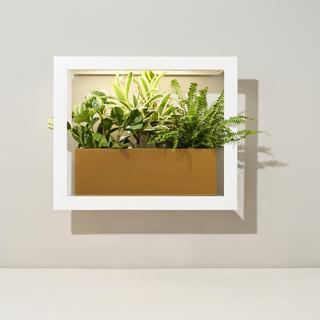 Growframe