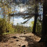 Cascades Conservation Area