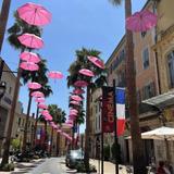 Grasse