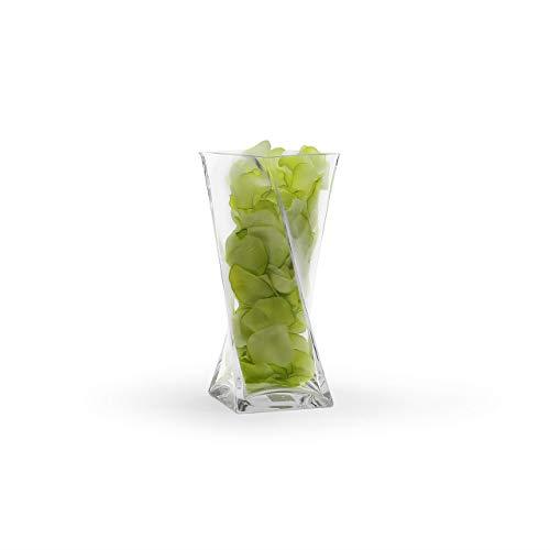 WGV Clear Square Twist Block Glass Vase, 10-Inch