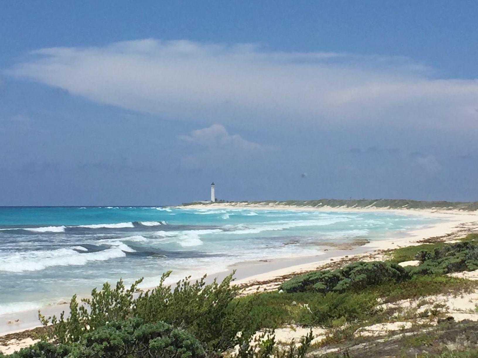 Punta Sur Eco-Park
