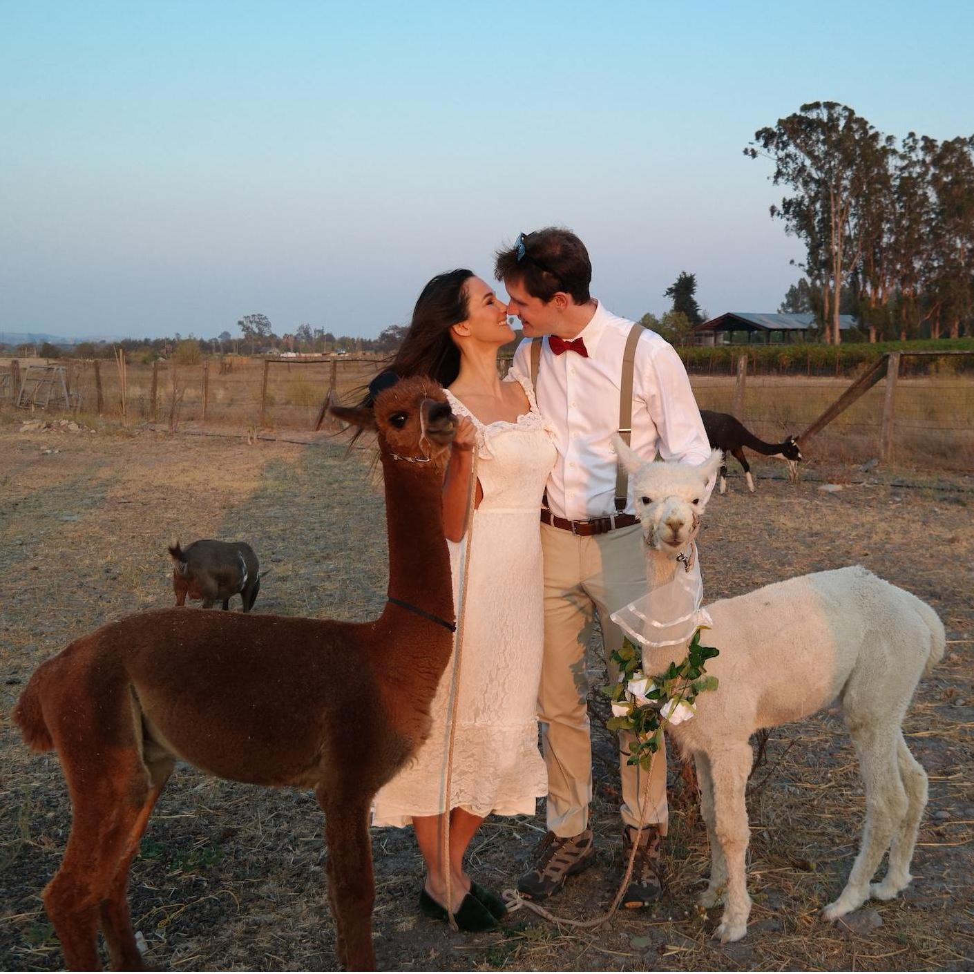 Mom, Dad, is this mall photo shoot over yet?

We want to go to Spencer's!