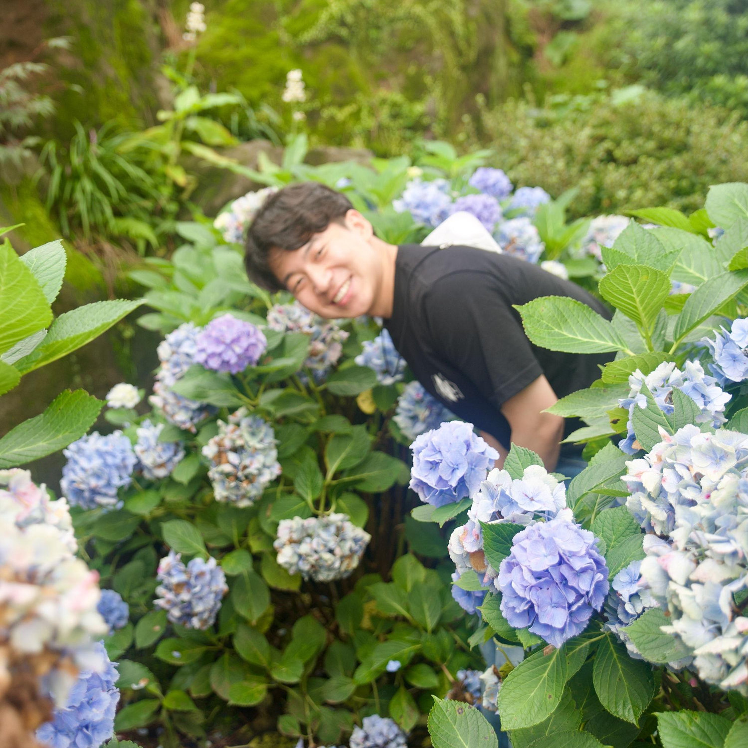 Jul 2021 - Jeju island