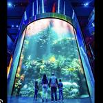 Wonders Of Wildlife National Museum & Aquarium