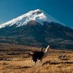 Parque Nacional Cotopaxi