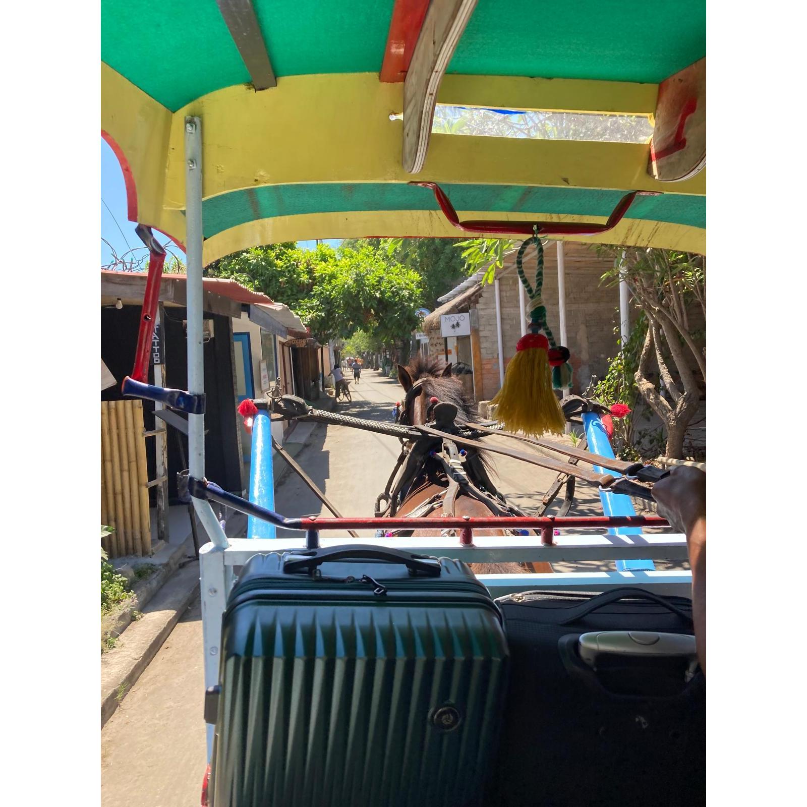 One of our first Cidomo rides on Gili