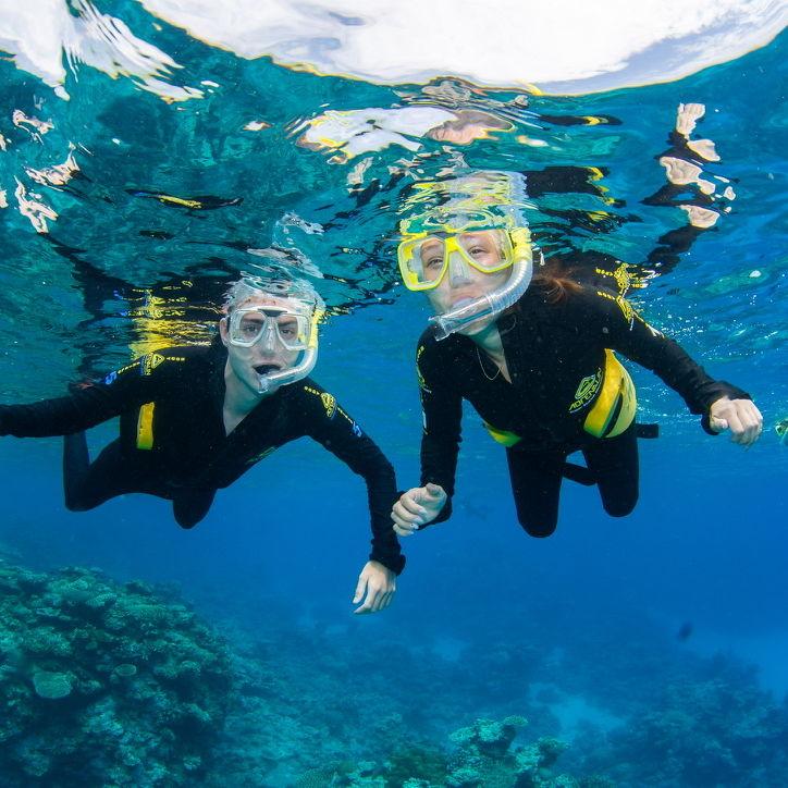 checking the great barrier reef off our bucket list!