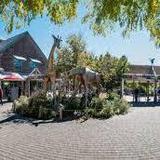 Denver Zoo
