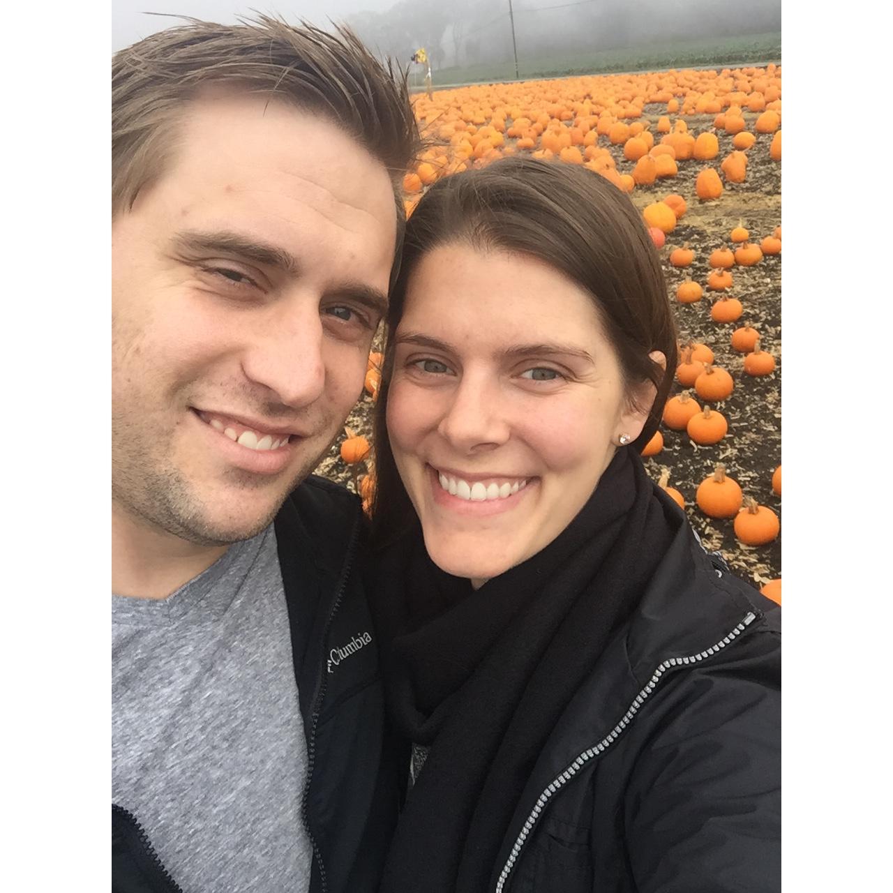 Pumpkin picking in Half Moon Bay